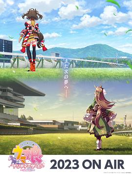 seo优化内容怎么设置